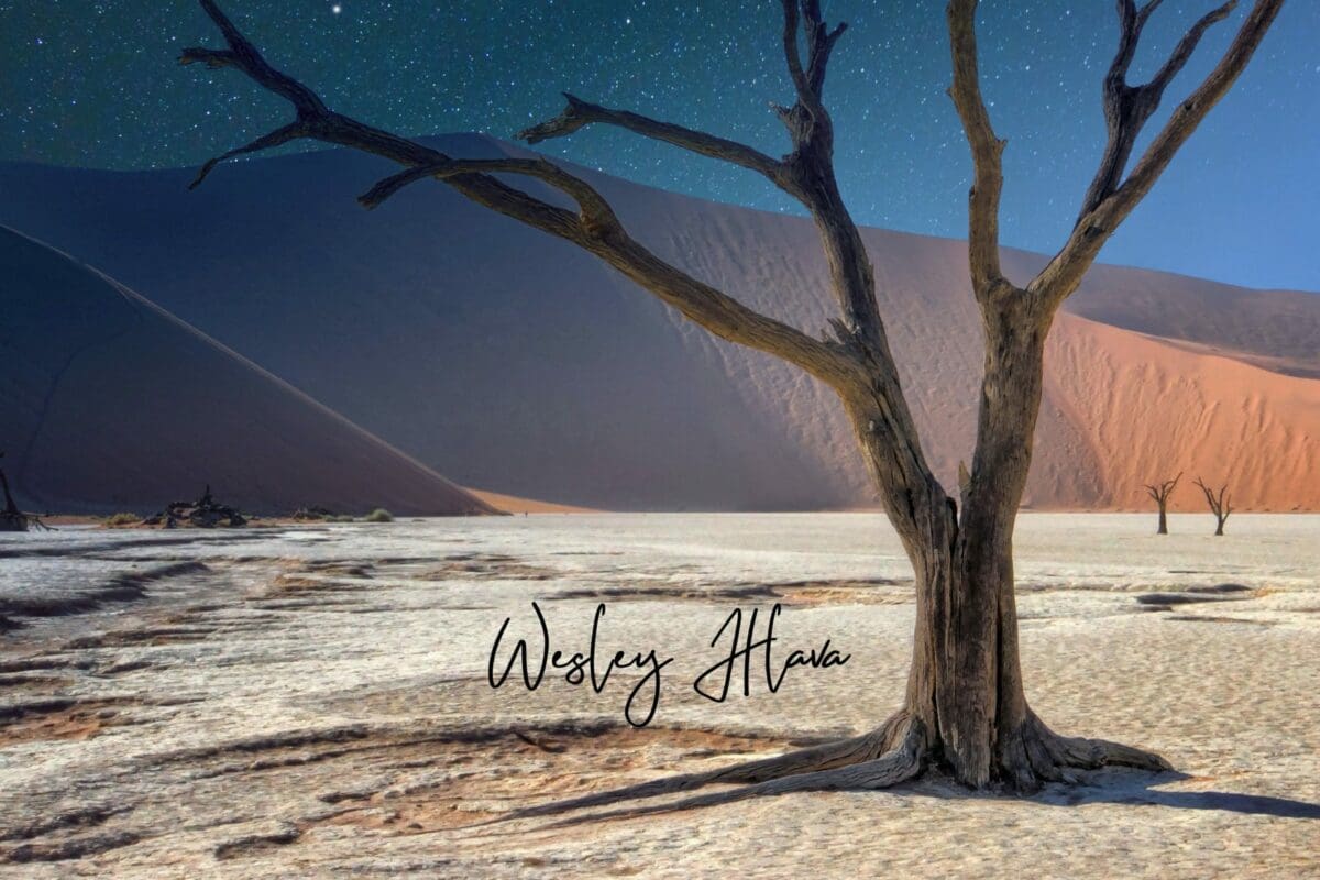Lovers Walk – Wesley Hlava