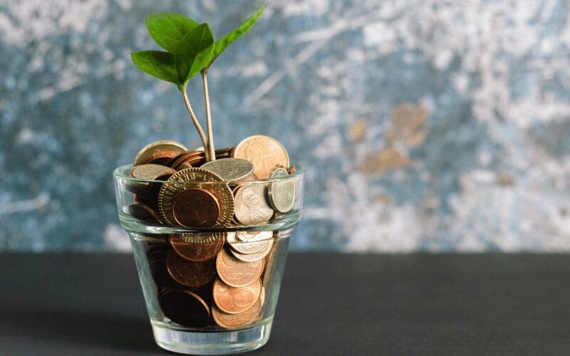 money and a plant in a glass jar