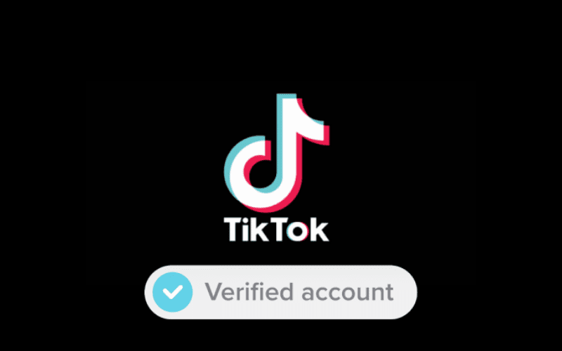 How to get verified on tiktok