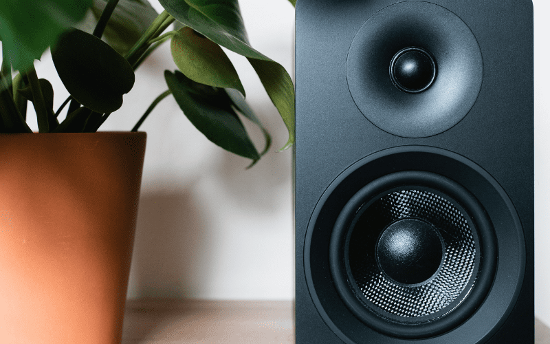 speaker and house plant 