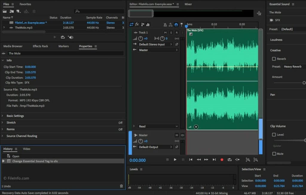 Files in Adobe Audition