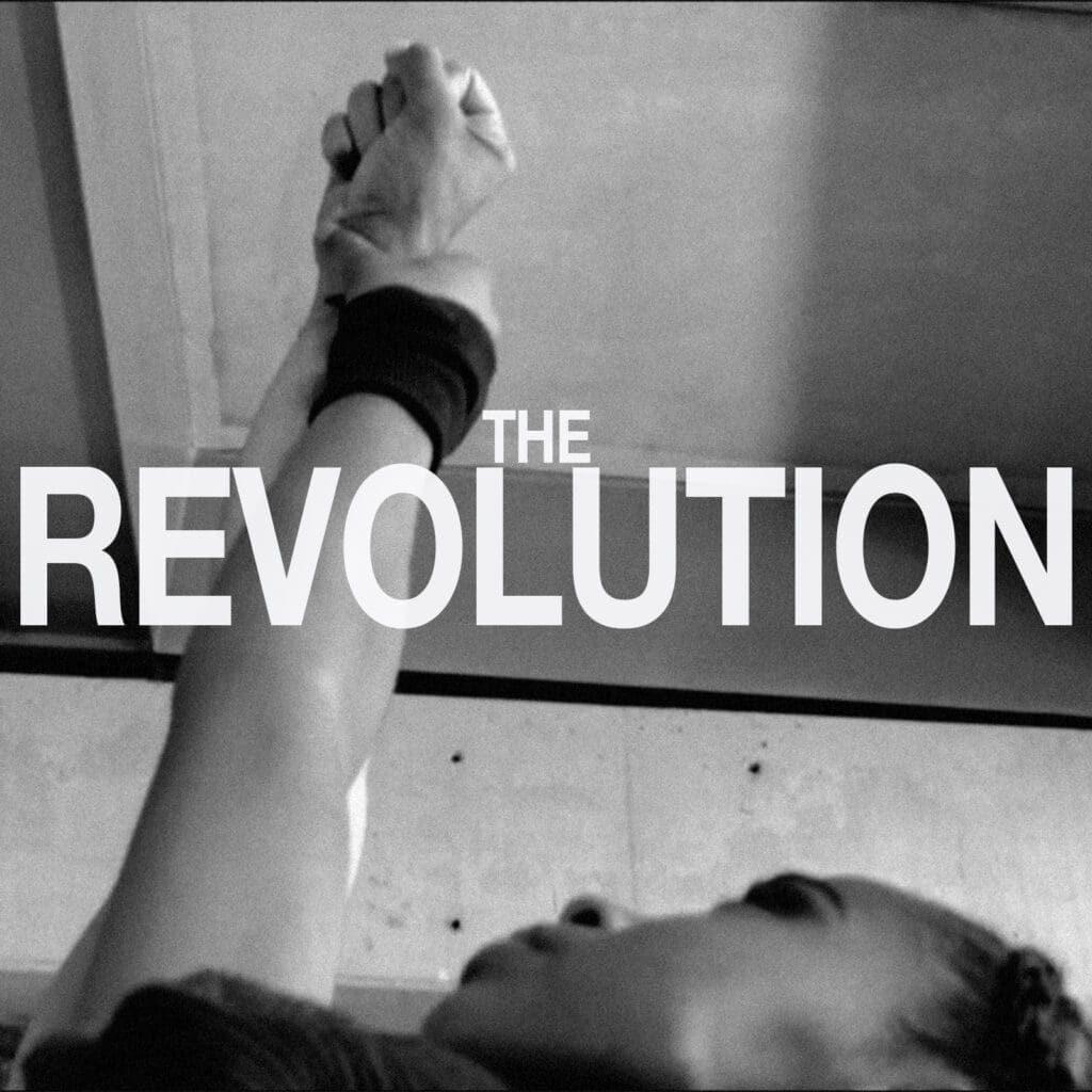 The Cover for DOVE-i The Revolution
